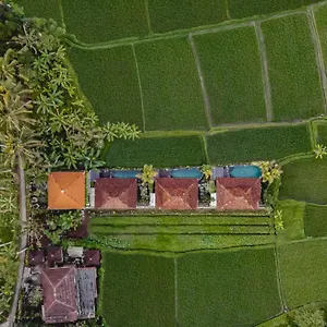  Villa Airsania Antique Indonesia